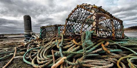 crab fisherman jobs|Becoming A Crab Fisherman: Crack the Code Of A .